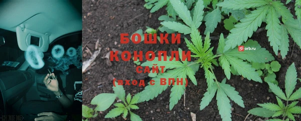 бошки Аркадак