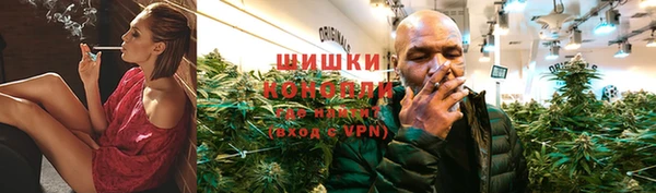 бошки Аркадак